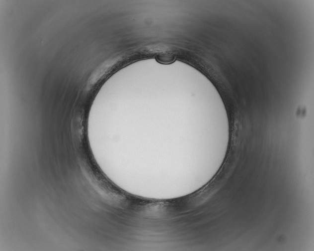 X0000114030116200910231907