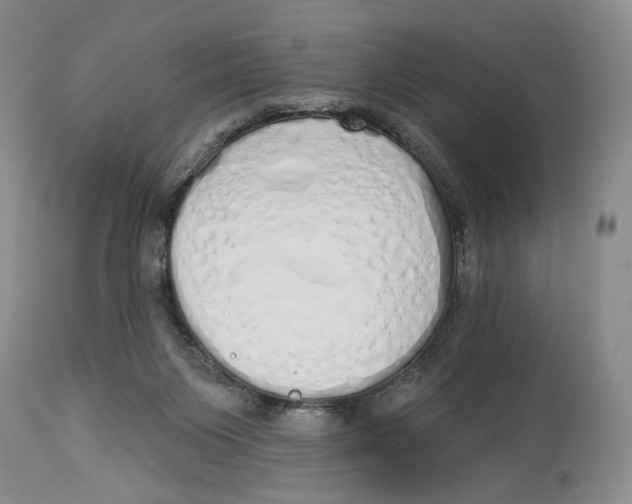 X0000114030119200910231907