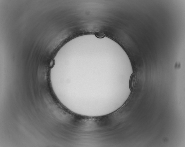 X0000114030120200910231907