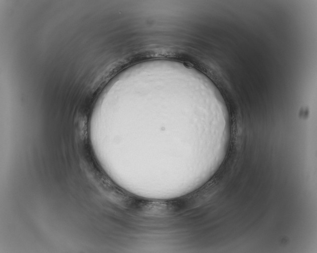 X0000114030123200910231907