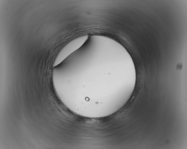 X0000114030125200910231907