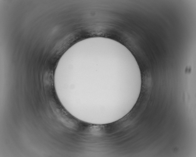 X0000114030126200910231907