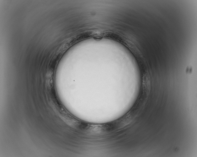 X0000114030127200910231907