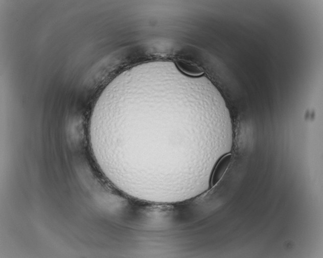 X0000114030128200910231907