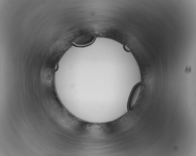 X0000114030129200910231907