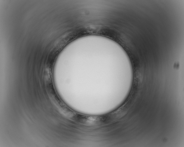 X0000114030130200910231907