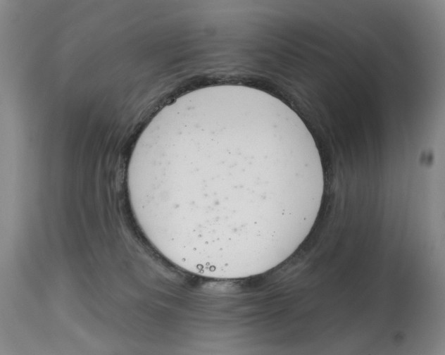 X0000114030133200910231907