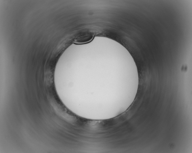 X0000114030136200910231907