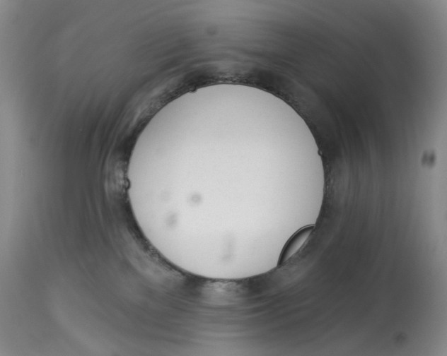 X0000114030137200910231907