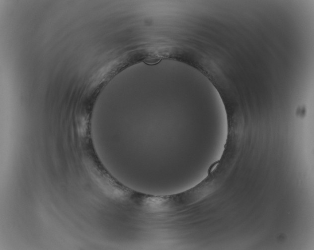 X0000114030139200910231907