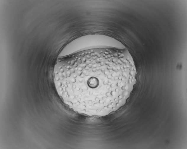 X0000114030141200910231907