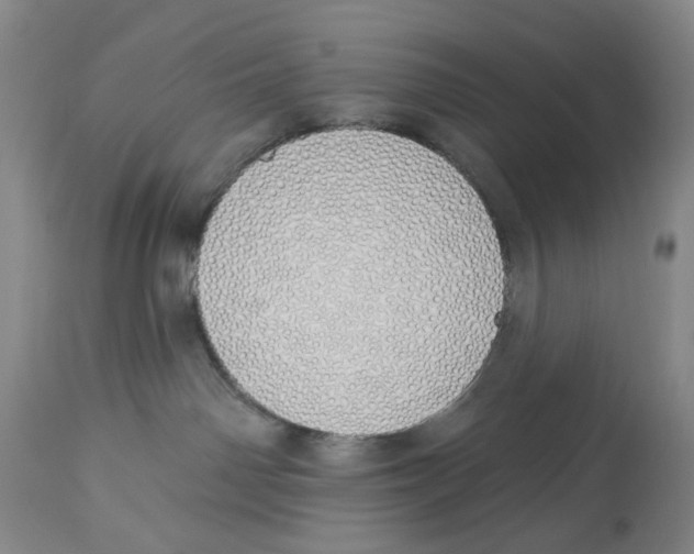 X0000114030142200910231907