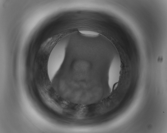 X0000114030143200910231907