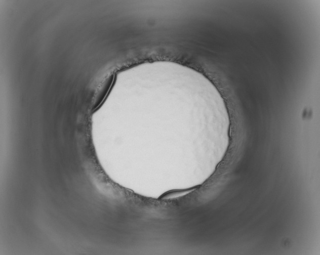 X0000114030144200910231907