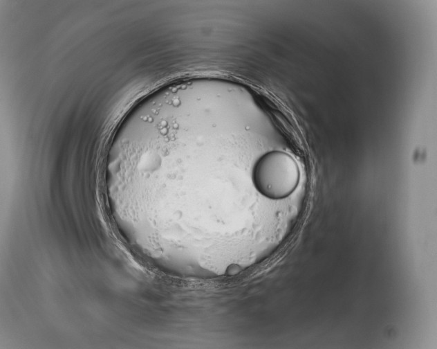 X0000114030145200910231906