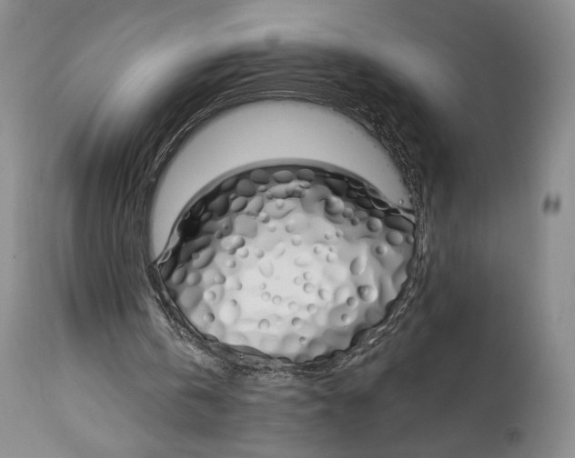 X0000114030146200910231906