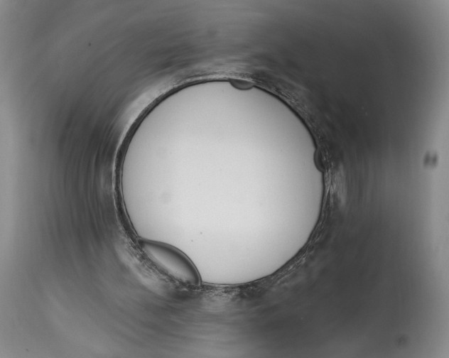 X0000114030148200910231906