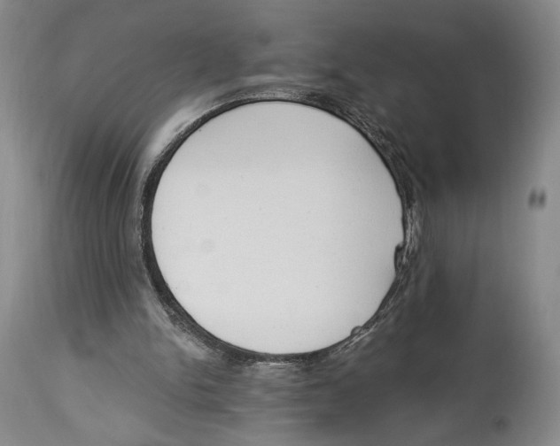 X0000114030150200910231906