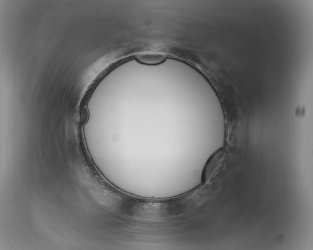 X0000114030152200910231906