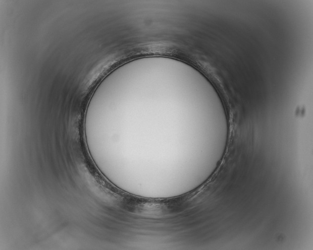 X0000114030154200910231906