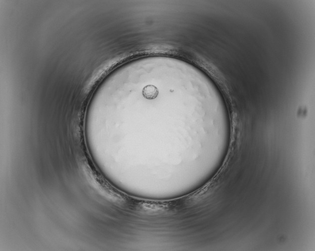 X0000114030155200910231906