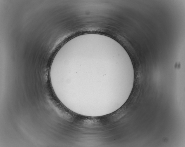 X0000114030160200910231906