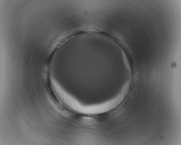 X0000114030167200910231907