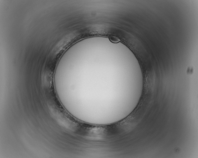 X0000114030168200910231907