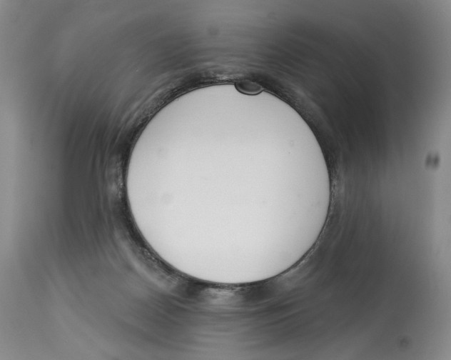 X0000114030170200910231907