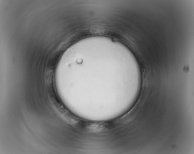 X0000114030171200910231907