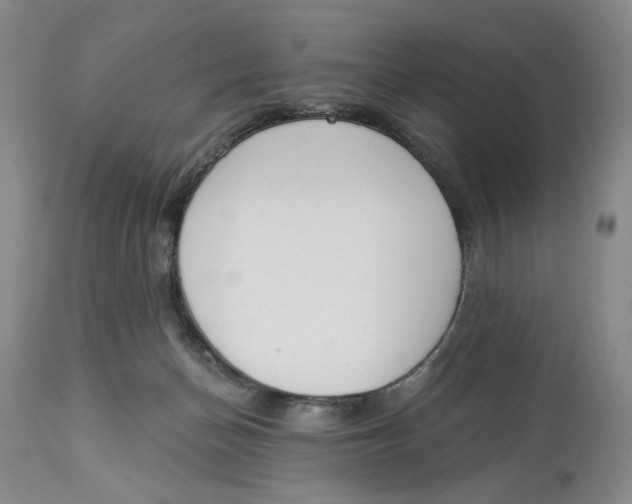 X0000114030174200910231907