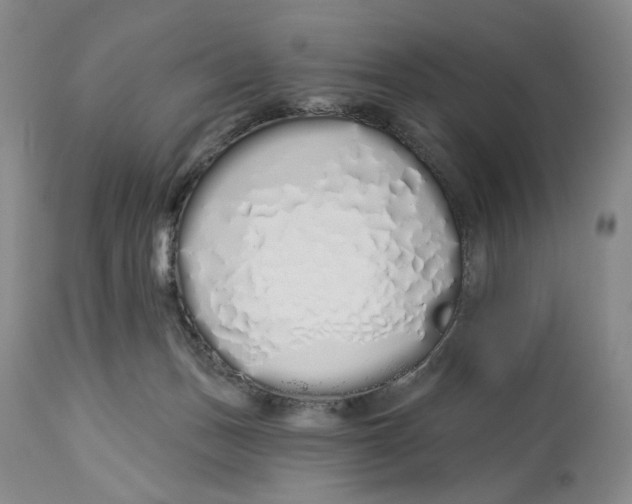 X0000114030175200910231907