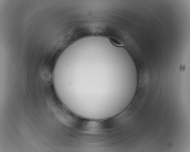 X0000114030176200910231907