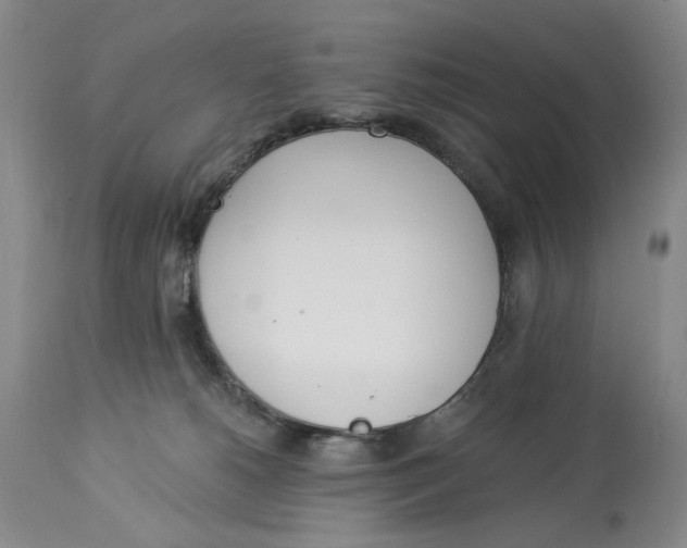 X0000114030180200910231907