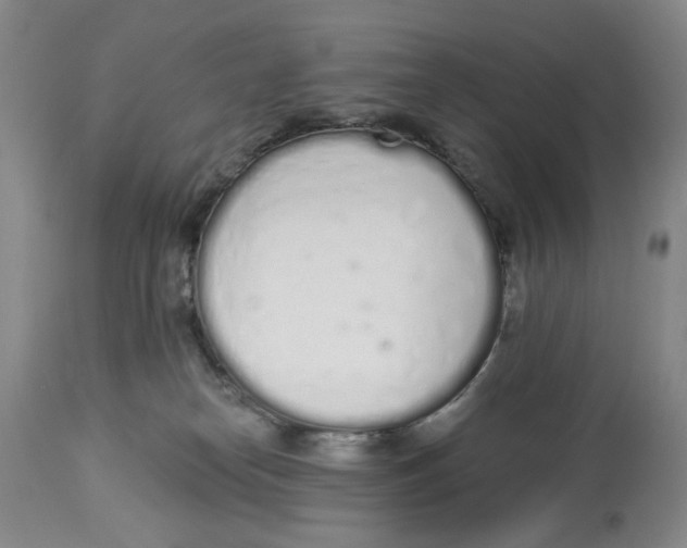 X0000114030182200910231907