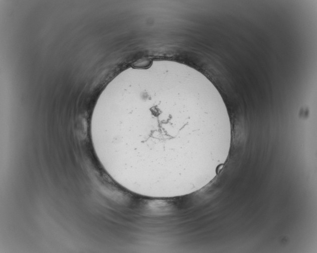 X0000114030183200910231907