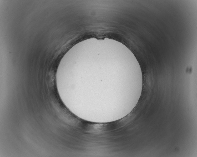 X0000114030184200910231907