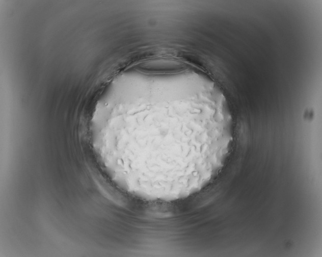 X0000114030185200910231907