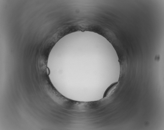 X0000114030186200910231907