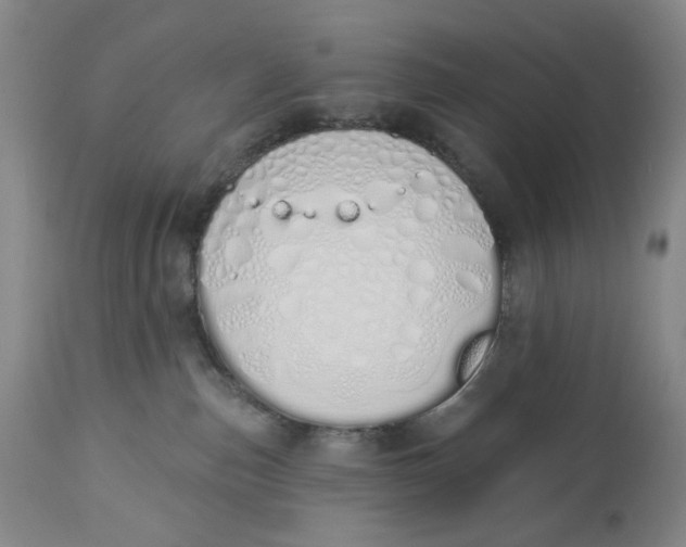 X0000114030187200910231907