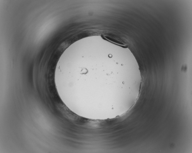 X0000114030190200910231907