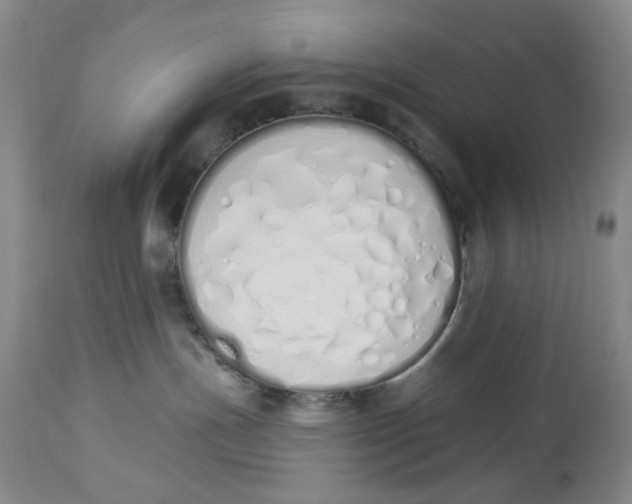 X0000114030191200910231907