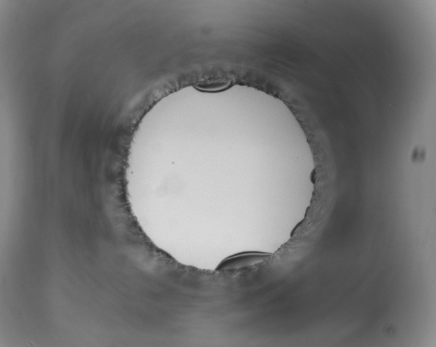 X0000114030192200910231907