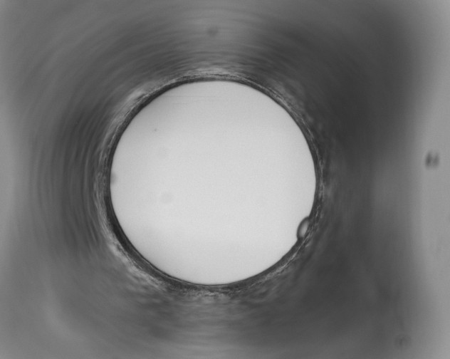 X0000114030193200910231906