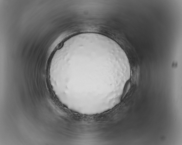 X0000114030195200910231906