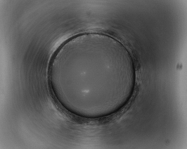 X0000114030196200910231906