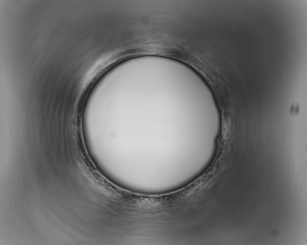 X0000114030198200910231906