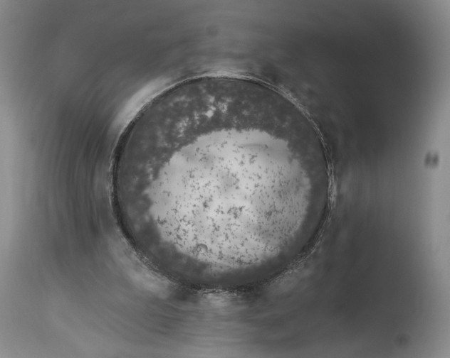 X0000114030199200910231906