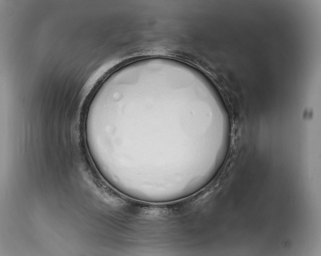 X0000114030200200910231906