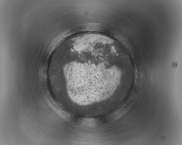 X0000114030203200910231906